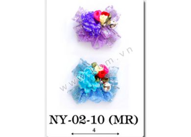 NY 02-10 (MR)
