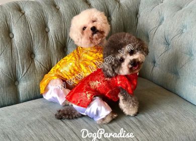 Chinese New Year Uniforms